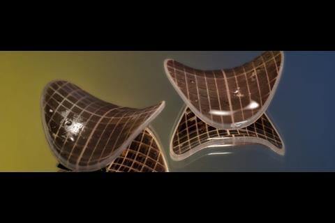 Veolia Z-MBBR biocarriers are shaped more like Pringles. Image: Veolia